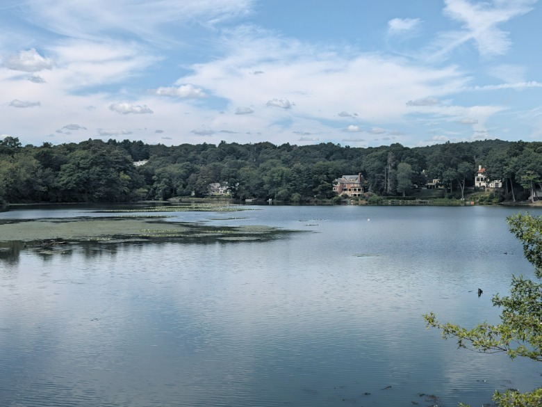 A view of a lake with some large houses and trees on the other side.