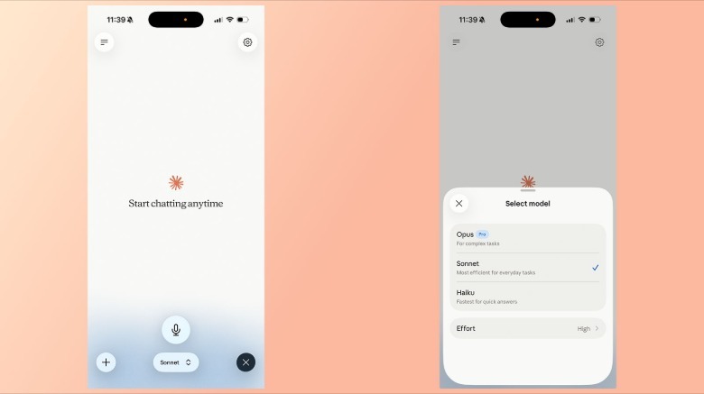Voice model currently supports Anthropic's Haiku