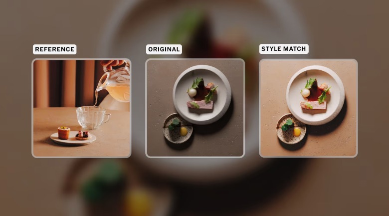New VSCO feature called Style match