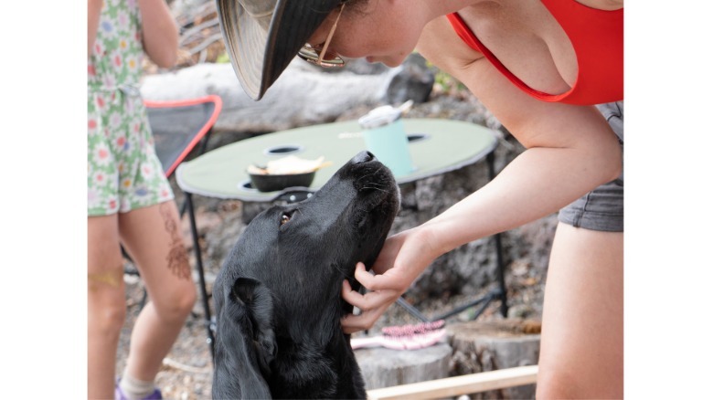 Panasonic L10 photo showing a woman in a red top scritching a dog's neck