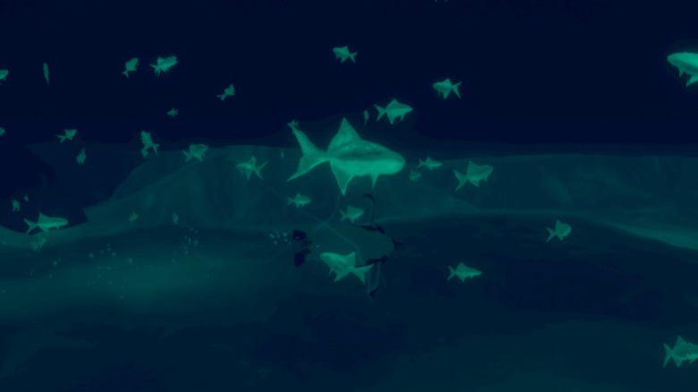 Penguin Colony