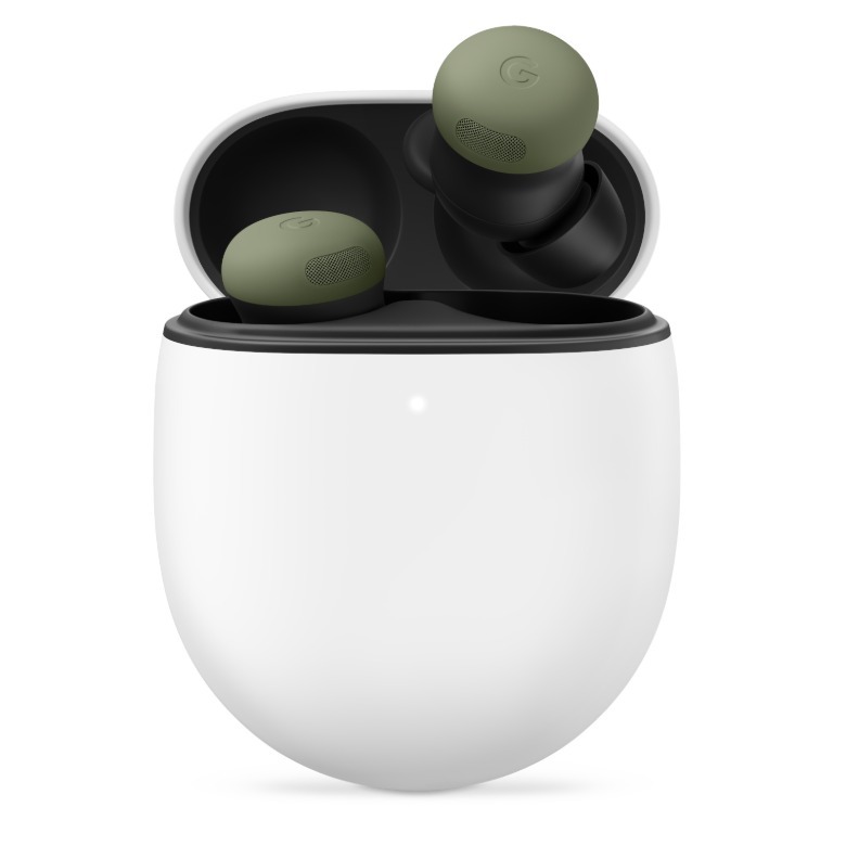 Earbuds in a case